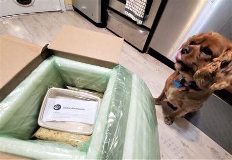 Beef, sweet potato, lentils, carrots, beef liver, kale, sunflower seeds, fish oil, tfd nutrient blend. Unbiased The Farmer's Dog Food Review 2021 - We're All ...