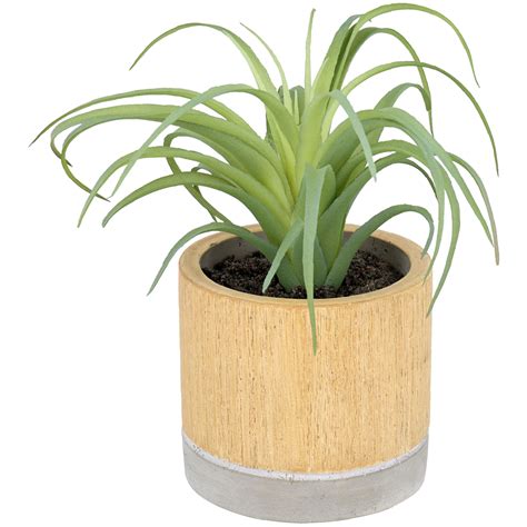 Tabouret pour plante 4 promotions de la semaine votre achat tabouret pour plante a venir merite que vous vous procuriez le meilleur produit en payant le ou trouver loffre tabouret bois pour plante au meilleur prix. Plante grasse en pot | Action.com