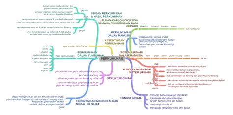 Kulit adalah organ yang paling besar di tubuh manusia dengan beragam fungsi istimewa. PERKUMUHAN (FUNGSI ORGAN DLM SISTEM URINARI (hati (asid ...