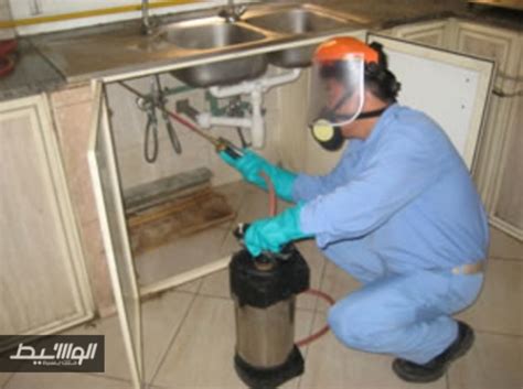 Just be clear on your overall marketing strategy first before choosing the methods to reach your business goals. Al Muraqabah pest control and building cleaning (Sharjah, UAE)