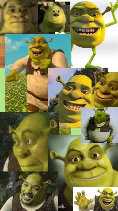 23 Shrek Meme Wallpapers Wallpapersafari