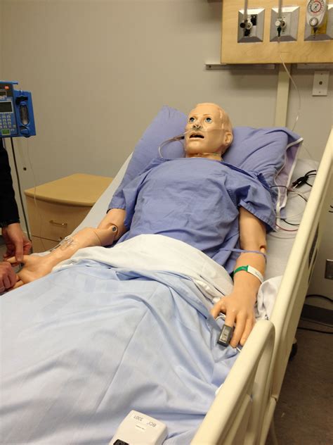 Free Images Person Room Dummy Cpr Medical Therapy Patient
