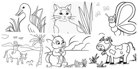 15+ Sketsa Gambar Hewan dan Tumbuhan yang Mudah Ditiru - MOCIPAY