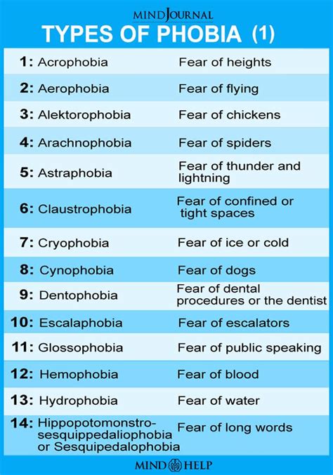 What Are The 100 Most Common Phobias Kulturaupice