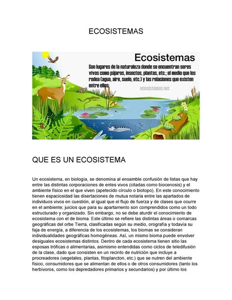 Ecosistemas Ecosistemas Que Es Un Ecosistema Un Ecosistema En