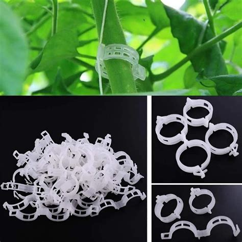 Plant Support Plant Clips Plant Support For Vegetables Tomatoes And