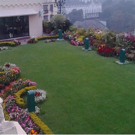 Rectangular Ceramic Natural Lawn Grass Carpet At Rs Square Feet In Kolkata ID