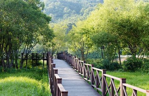 THE 15 BEST Things to Do in Gwangju - UPDATED 2021 - Must See Attractions in Gwangju, South ...