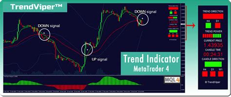 Trend Indicator Mt4 Detect Trends Like A Pro Trendviper