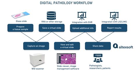 Digital And Computational Pathology Workflow Tools And Limitations