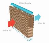Evaporative Cooling In The Body