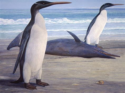 Giant Prehistoric Penguins Grist