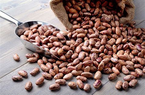 seven health and nutritional benefits of pinto bean sadr novin khorasan