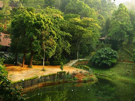 Rain Country Resort Wayanad Kerala Resort In Wayanad Activities And