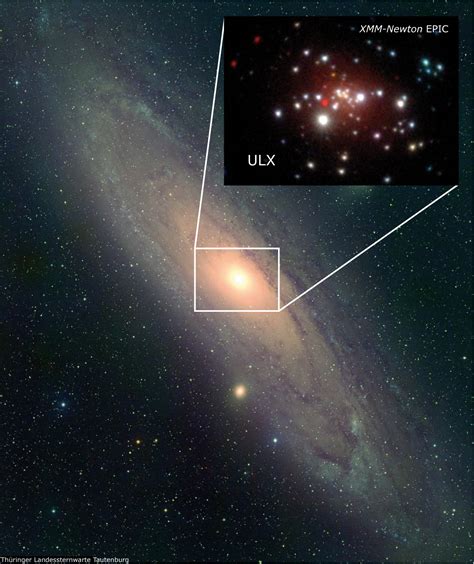 X Rays Reveal A Stellar Mass Black Hole In Andromeda