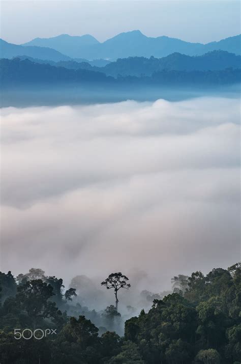 Beautiful Scenary Of Mist With Mountain Range At P Beautiful Scenary