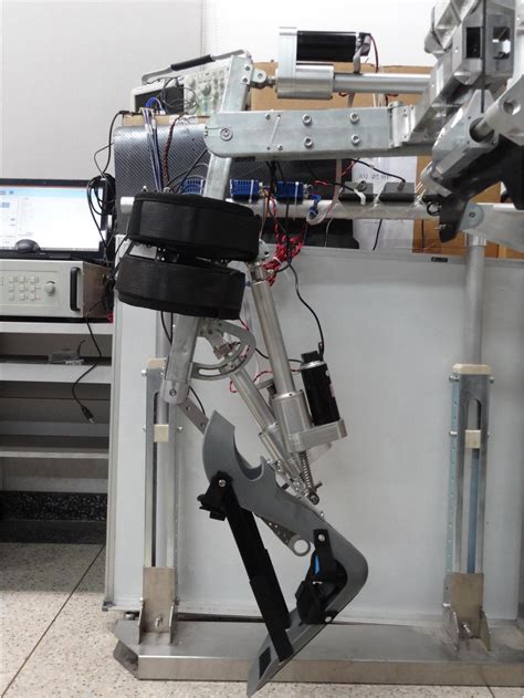 Bio Inspired Lower Limb Wearing Robotic Exos Eurekalert
