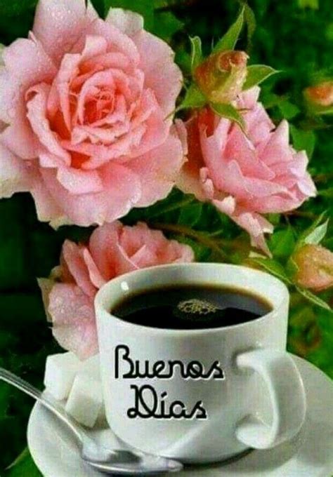 Pin By Lydia Morales On Buenos Días Coffee Flower Good Morning