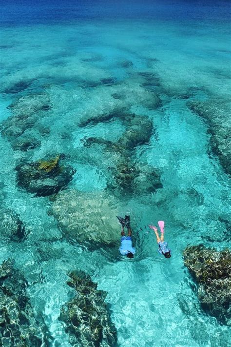 8 Of The Best Snorkelling Spots In The World Snorkeling Pictures