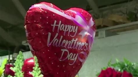 Erin Sykes Why Galentine S Day Is Better Than Valentine S Day Fox News