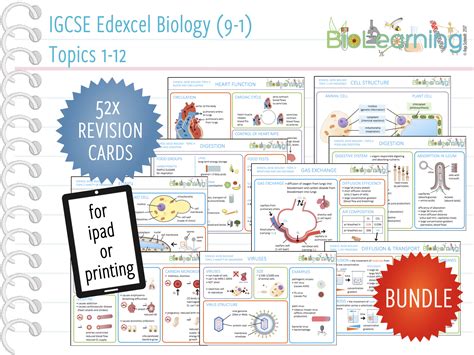 Igcse Biology 9 1 52x Revision Cards Ks4 Teaching Resources
