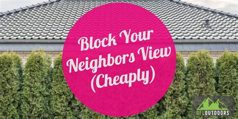 10 Cheap Ways To Block Neighbors View Gfl Outdoors