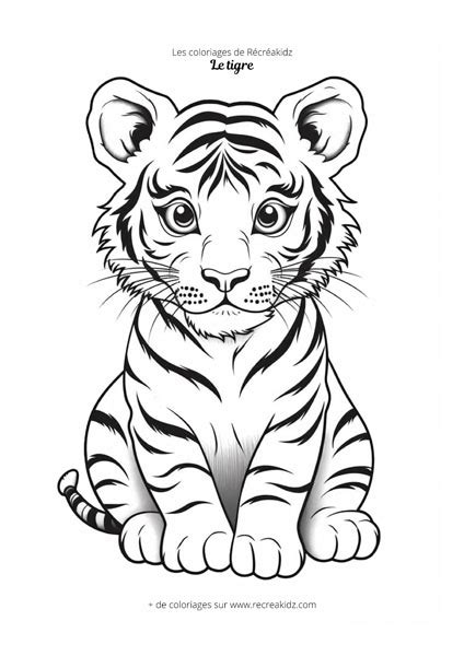 Coloriage bébé tigre Dessin à colorier imprimer en PDF