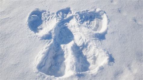 a prairie homo companion snow is a gender neutral pronoun autostraddle