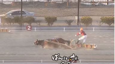 たそうだな おお 先生羨ましい 胸でかい パンツ見えん 足きれい おお. 【かわいそう・・・】競馬/訃報 ばんえい競馬重賞8勝馬 ...
