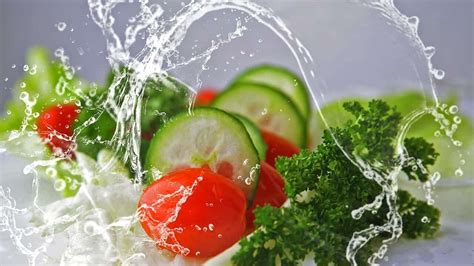 Check spelling or type a new query. Contoh Makanan Bergizi (Karbohidrat, Protein, Vitamin ...