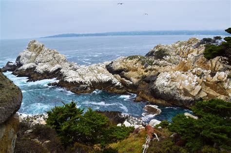 Visitors Guide To Point Lobos State Reserve Inspired Lifestyle Blog