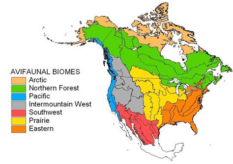 Biome Map Of Usa