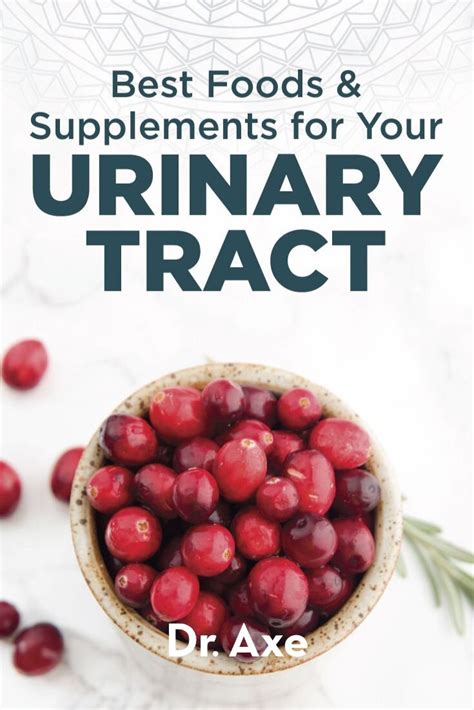 Best Foods And Supplements For Urinary Tract Health Artofit