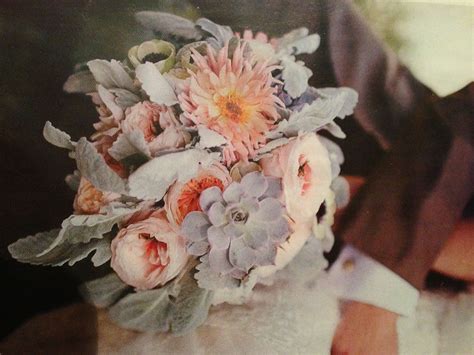 @ aunt Terri. Dusty miller and succulents | Dusty miller, Wedding flowers, Succulents