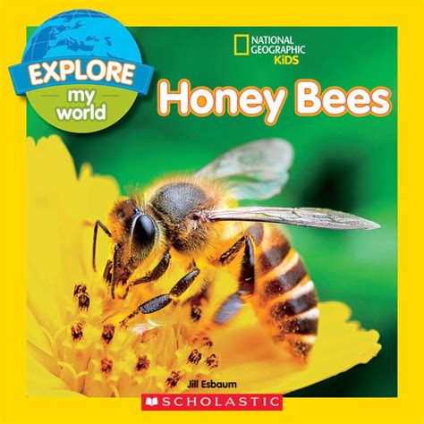 Pin On Honey Bees Lessons