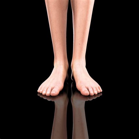 3d Female Legs
