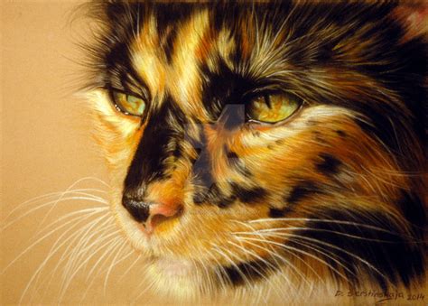 Commissioned Portrait Of Tortoiseshell Cat By Petpaintings On Deviantart