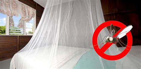 7 Ways To Get Rid Of Mosquitoes Indoors Mosquitofixes