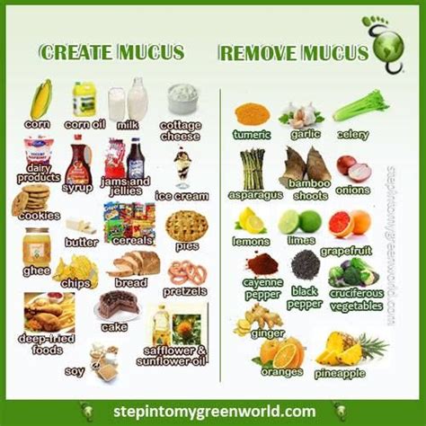Mucus Causing Foods List