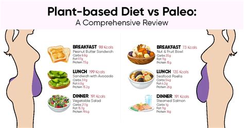 Plant Based Diet Vs Paleo A Comprehensive Review Weight Loss Blog