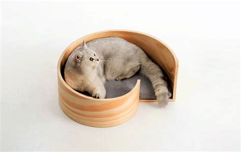 pet furniture ideas cat tower dog beds