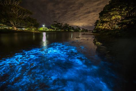 You Can Cruise Through Magical Neon Blue Waters At This National Park