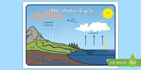 Simple Water Cycle Display Poster Twinkl