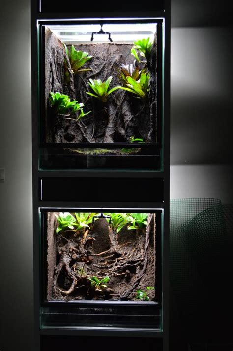 Check spelling or type a new query. 17 Best images about Paludariums and Terrariums on ...