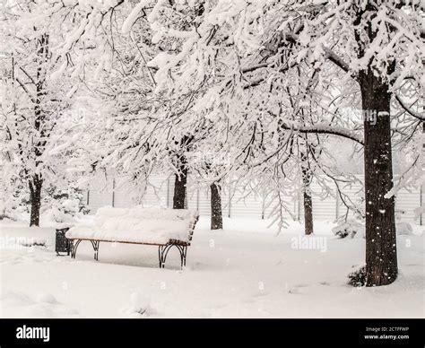 Park After Snowfall Hi Res Stock Photography And Images Alamy