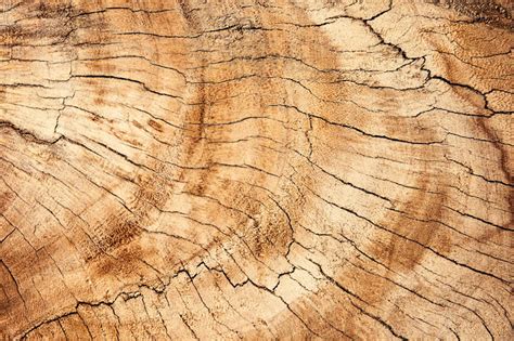 5 Unique Ways To Use Burl Wood Global Wood Source
