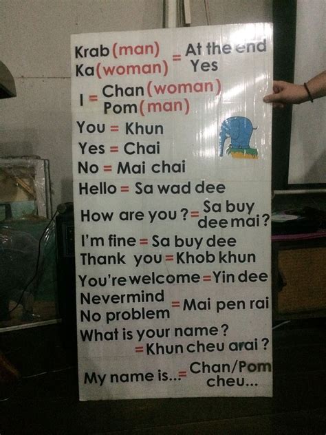 learning-some-basic-thai-phrases-learn-thai-language,-thai-words,-learn-thai