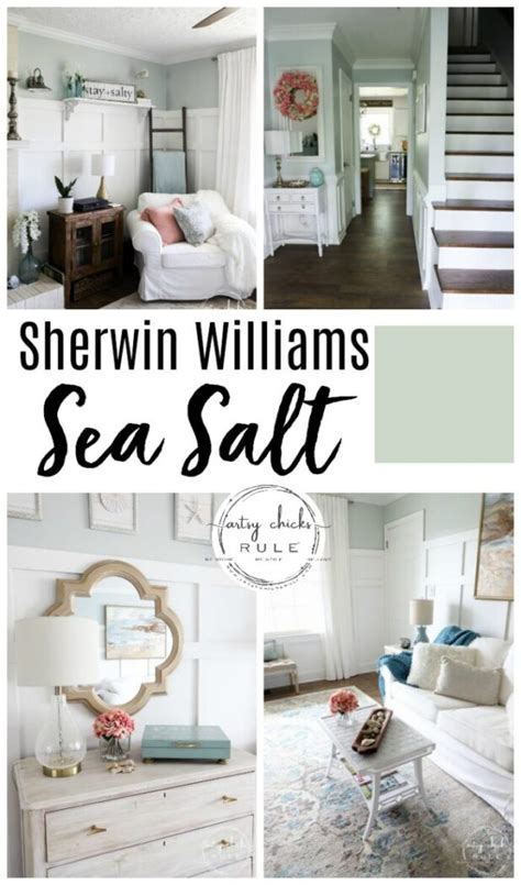 Sherwin Williams Sea Salt Gorgeous Coastal Neutral Sea Salt