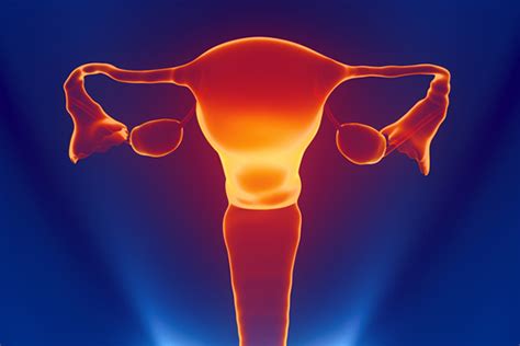 Epidemiology Of Gynecologic Cancers Focus On Ovarian Cancer