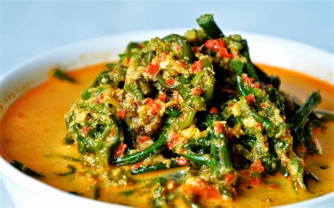 Resep sambal bajak teri 5. RESEP GULAI PAKIS SANTAN PADANG | Resep Masakan Indonesia